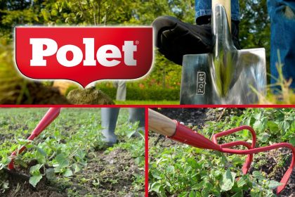 Polet_news